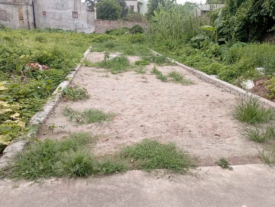 Đất nền tại Phường Phú Thượng, Quận Tây Hồ 99m² giá chỉ 2.2 tỷ - Cơ hội đầu tư hấp dẫn!