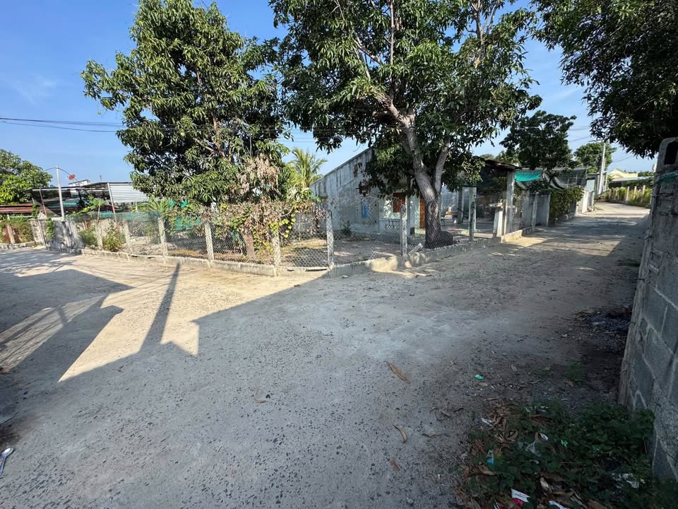 Đất nền Tân Thành, Cam Thành Bắc 290m² - Lô góc đẹp, giá thỏa thuận!