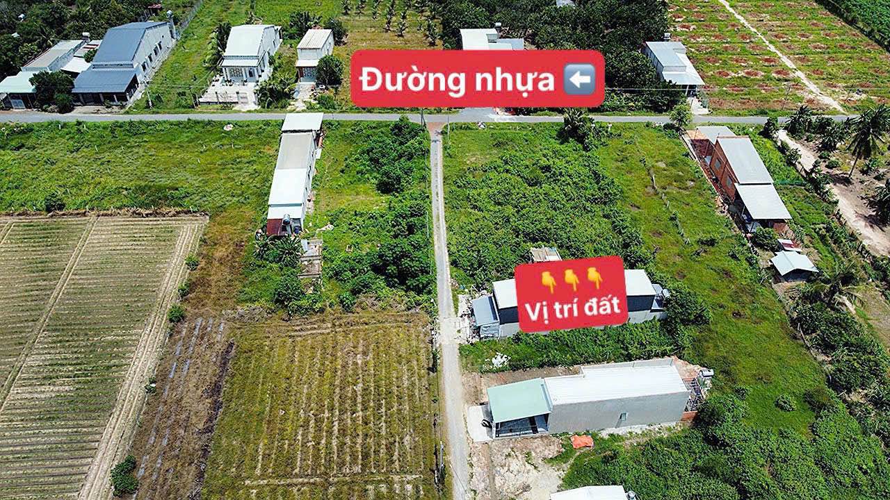 Đất nền thổ cư 128m² tại Hiệp Thạnh, Gò Dầu chỉ 520 triệu - Cơ hội đầu tư tuyệt vời!