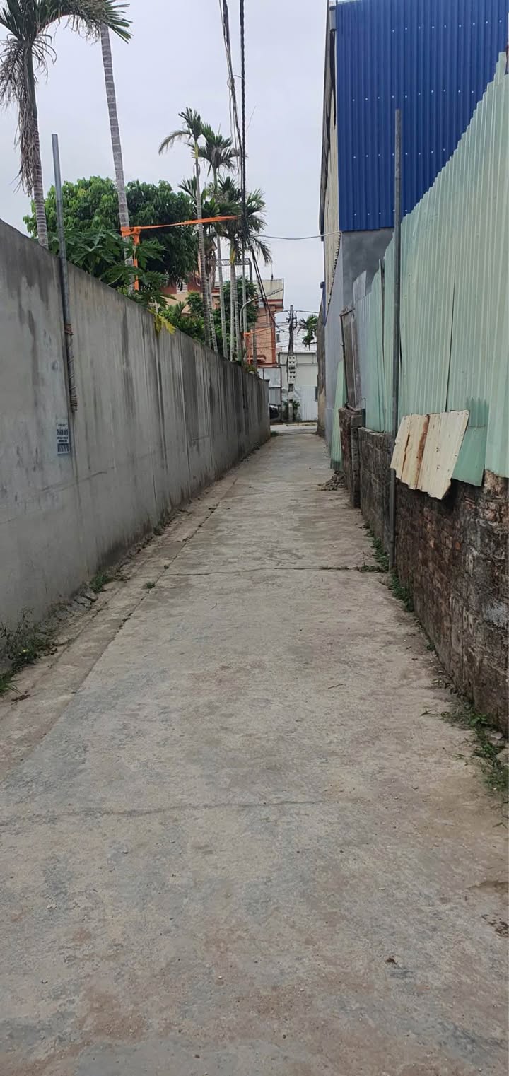 Đất nền Tổ 1 Sông He - Hòa Nghĩa, 50m² chỉ 1.18 tỷ - Tiềm năng đầu tư lớn!