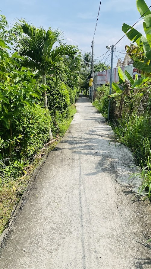 Đất nền xã Phú Hưng, TP Bến Tre 101m² giá 320 triệu - Sổ hồng chính chủ