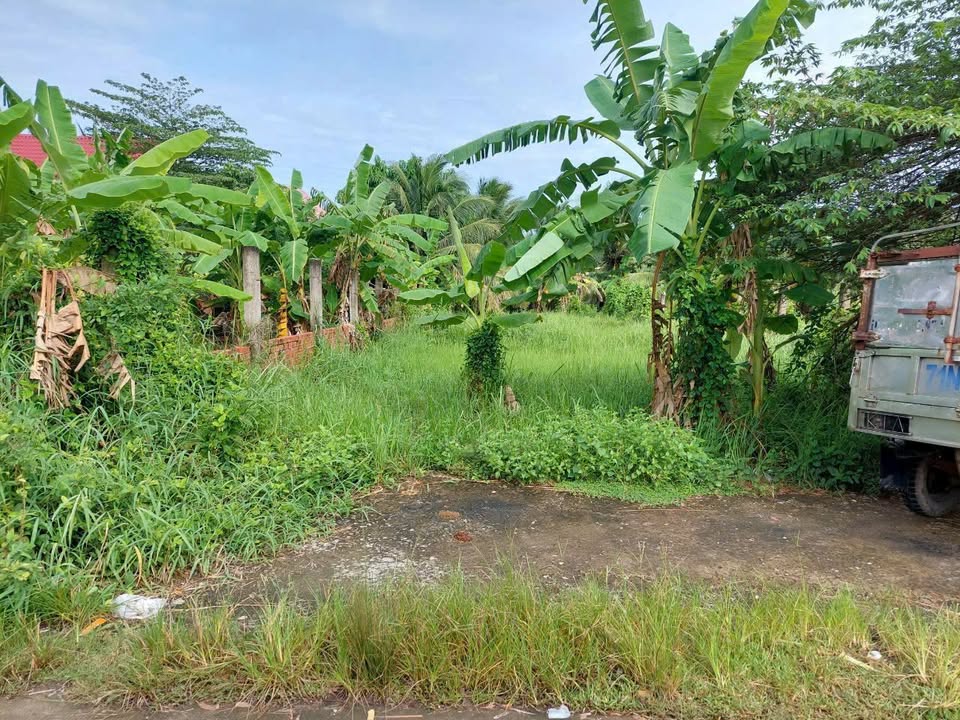 Đất thổ cư 555m² xã Nhơn Thạnh, Bến Tre - Cách UBND chỉ 100m!