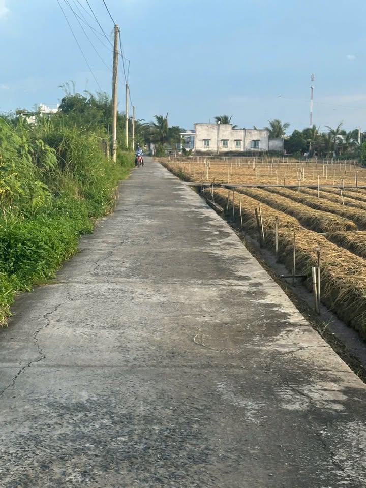 Đất thổ cư 2100m² tại Gò Công Đông - Đầu tư sinh lời, 2.3 tỷ!