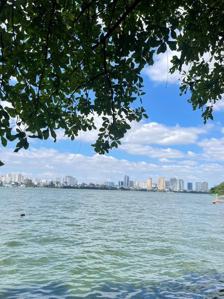 Đất rừng sản xuất 30ha tại Huyện Ngân Sơn, Bắc Kạn - Giá thỏa thuận, cơ hội đầu tư tốt!