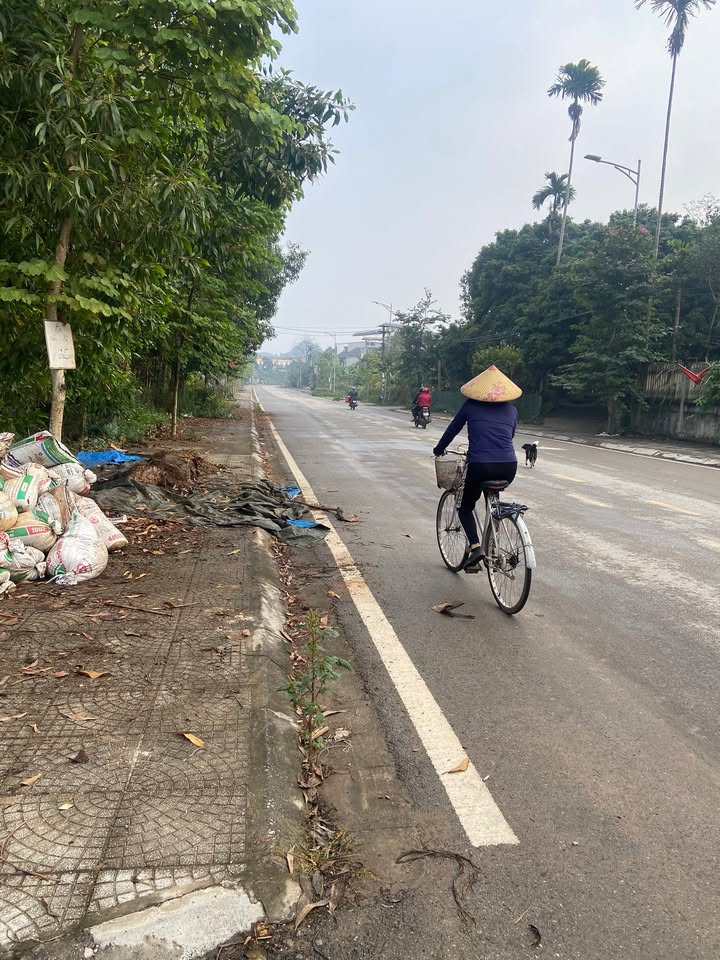 Đất nền đẹp tại xã Hạ Hoà, Phú Thọ - 105m² chỉ 700 triệu - Sổ đỏ chính chủ!