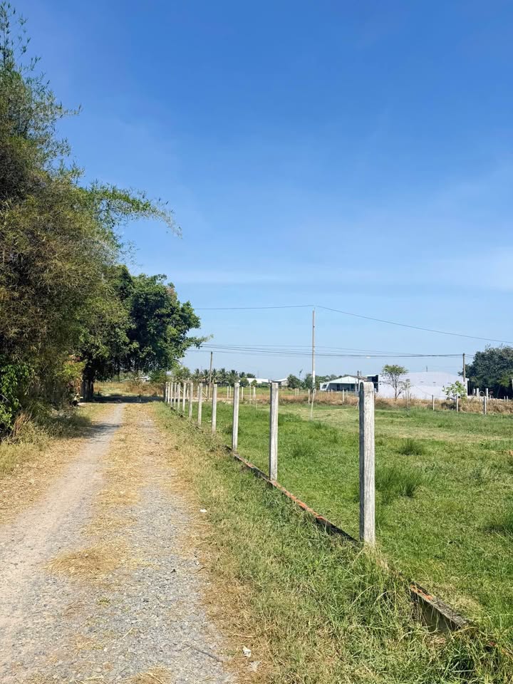 Đất thổ cư Dương Minh Châu 150m² giá 200 triệu - Cơ hội đầu tư hiếm có!