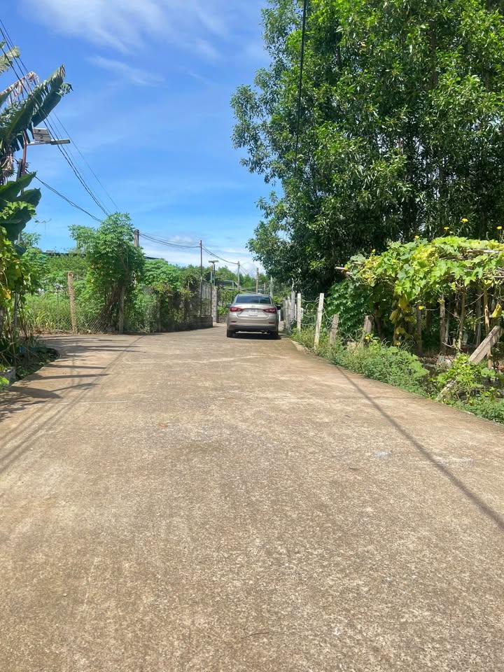 Đất nền Thị trấn Phước Bửu, Xuyên Mộc, 203m² giá 1 tỷ - Vị trí đắc địa cho đầu tư