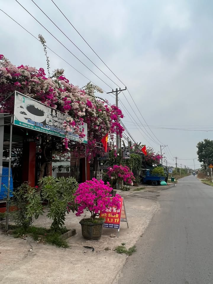 Nhà lô góc 2 mặt tiền đường nhựa Bắc Hòa - Phú Sơn 150m² giá 3 tỷ - Đầu tư sinh lời ngay!