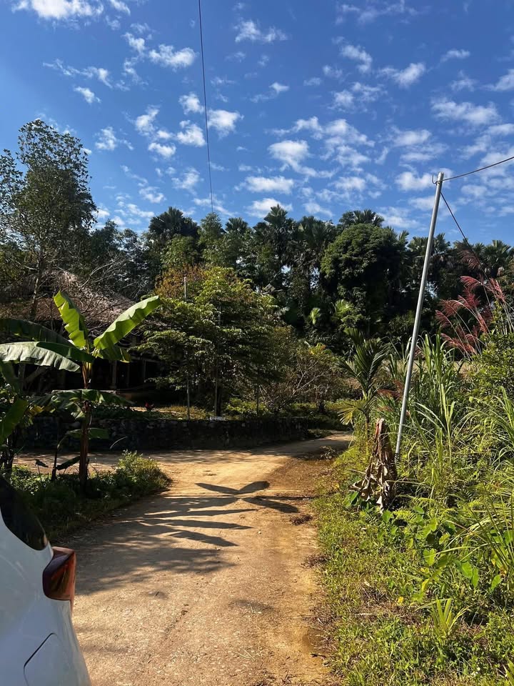 Đất du lịch thôn Tiến Thắng, Hà Giang 1200m² giá chỉ 1 tỷ - Cơ hội đầu tư hấp dẫn!