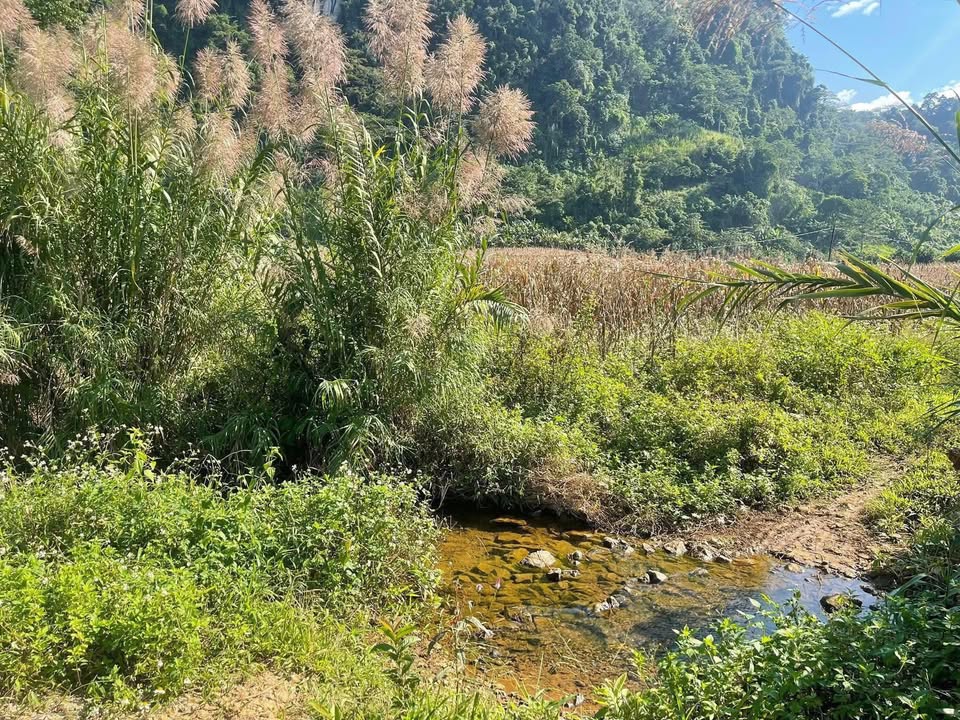 Đất Lùng Càng - Phường Trần Phú, Hà Giang 4200m² giá chỉ 600 triệu - Cơ hội đầu tư tuyệt vời!