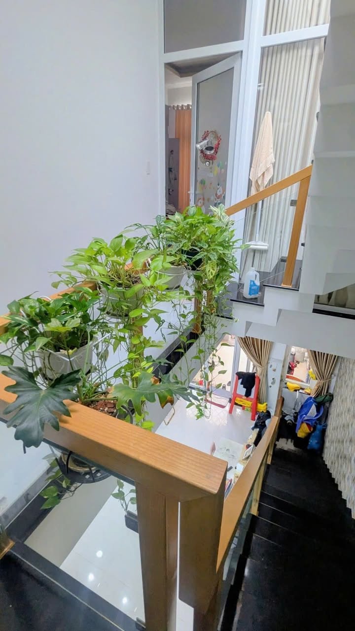 Nhà hẻm ô tô Hoàng Hoa Thám, Vũng Tàu 75m² giá 8.3 tỷ - Gần biển thoáng đãng!