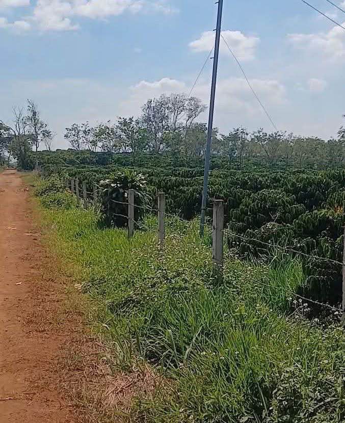 Đất nền 300m² tại Phường 1, Bảo Lộc - Giá chỉ 1.5 tỷ, đầu tư sinh lời!