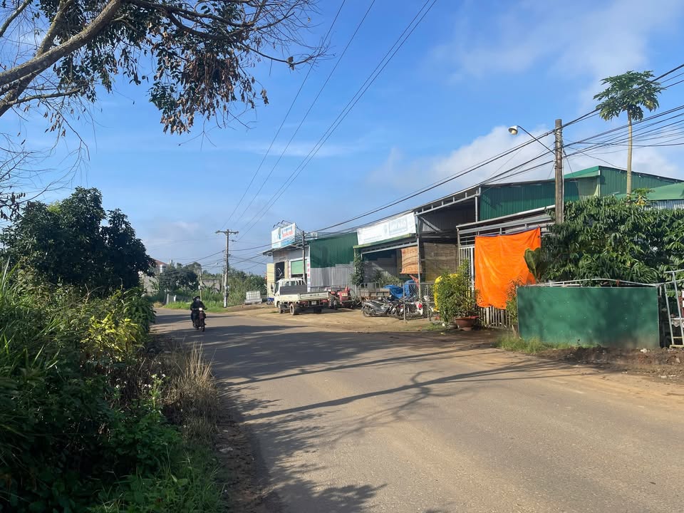 Đất nền Lộc An, Bảo Lâm, Lâm Đồng 483m² giá 2.5 tỷ - Sổ đỏ chính chủ!