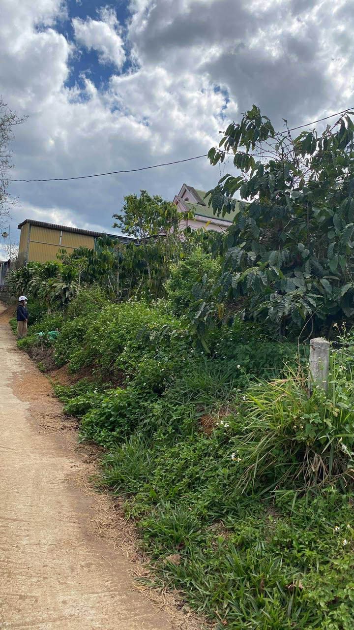 Đất thổ cư Gung Ré, Di Linh 9000m² giá 1.1 tỷ - Cơ hội đầu tư hấp dẫn!