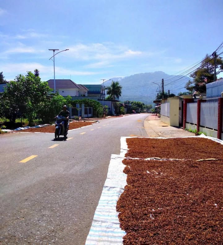 Nhà phố Bảo Lộc 426.8m² giá 3 tỷ - Mặt tiền đường 1/5, thương lượng tốt!