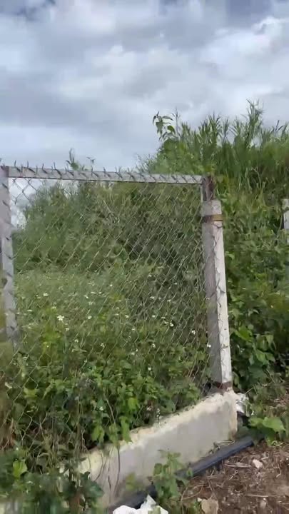 Đất nền Phúc Thọ, Lâm Hà 258m² giá 650 triệu - Sổ đỏ chính chủ!