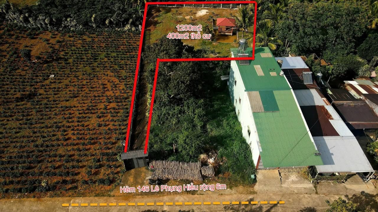 Đất nền hẻm 146 Lê Phụng Hiểu, Bảo Lộc 1200m² - Cơ hội đầu tư tuyệt vời!