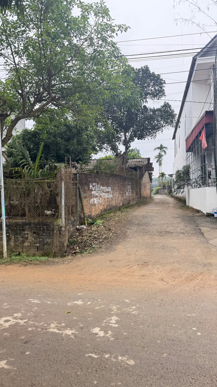 Đất thổ cư 300m² mặt tiền 50m tại xã Liên Hoa, Phú Thọ giá 2 tỷ - Sổ đỏ chính chủ