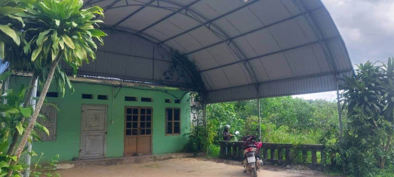 Farm đất Văn Hán, Đồng Hỷ 50.000m² giá 4 tỷ - Cơ hội sở hữu tuyệt vời!