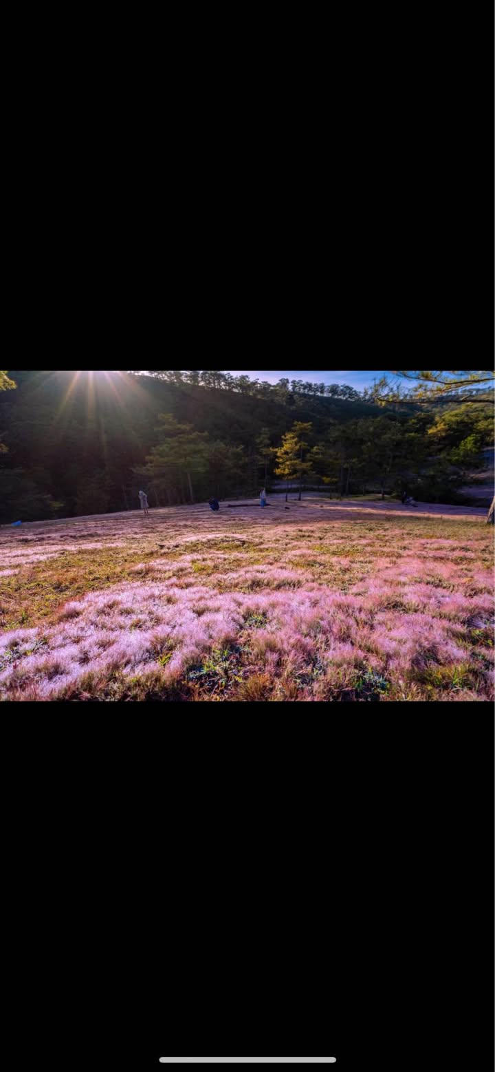 Nhà 4 tầng độc lập tại Ngô Gia Tự, Hải An - Lô góc 2 mặt thoáng, giá 4.7 tỷ