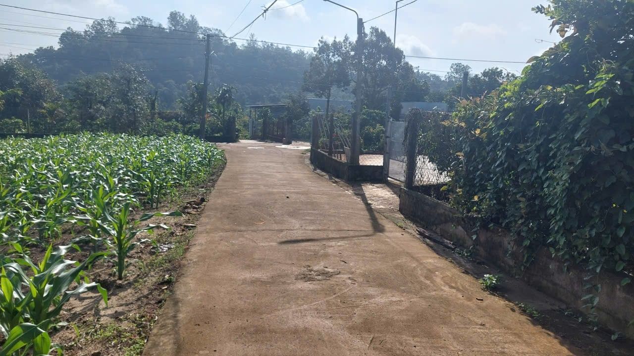Đất thổ cư Thôn 7 EaKtur, Đắk Lắk 100m² giá 600 triệu - Cơ hội đầu tư tuyệt vời!