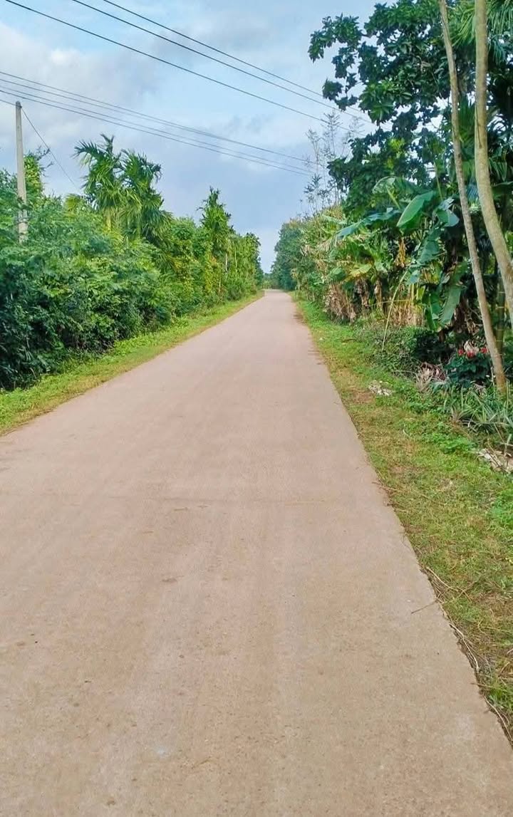 Đất nền Xã Ea Tiêu, Huyện Cư Kuin 800m² giá 71.2 tỷ - Cơ hội đầu tư lý tưởng!