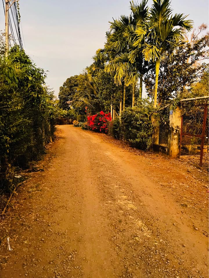 Đất nền chính chủ tại hẻm 03/37 Võ Văn Kiệt, Ea Kao, 294m² chỉ 2.099 tỷ - Giá tốt hiếm có!