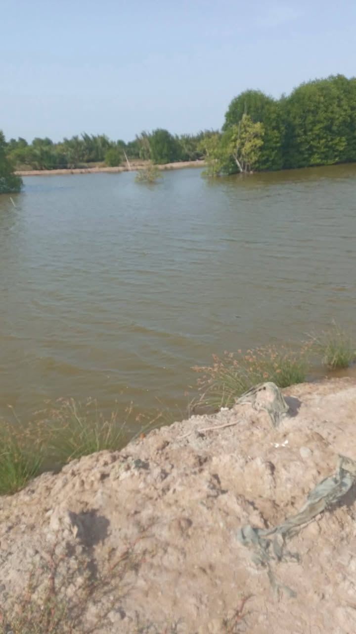 Đất nông nghiệp 25.000m² tại Cồn Ông, Dân Thành, Duyên Hải - Giá chỉ 3.25 tỷ VND