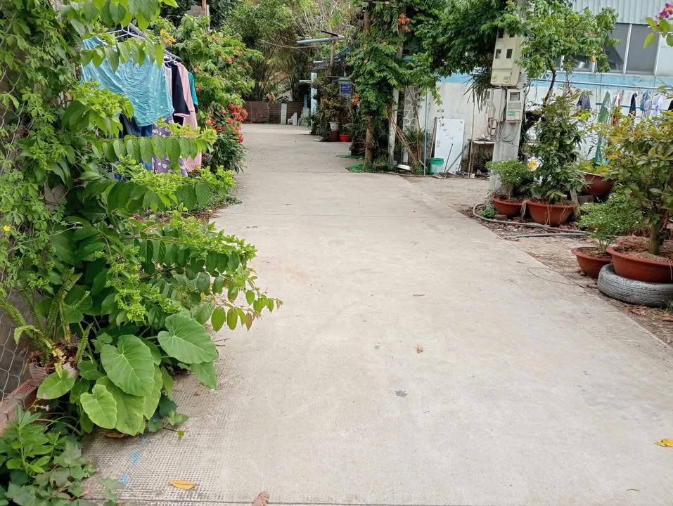 Đất nền Phú An, Bến Cát 570m² - Giá đầu tư hấp dẫn!