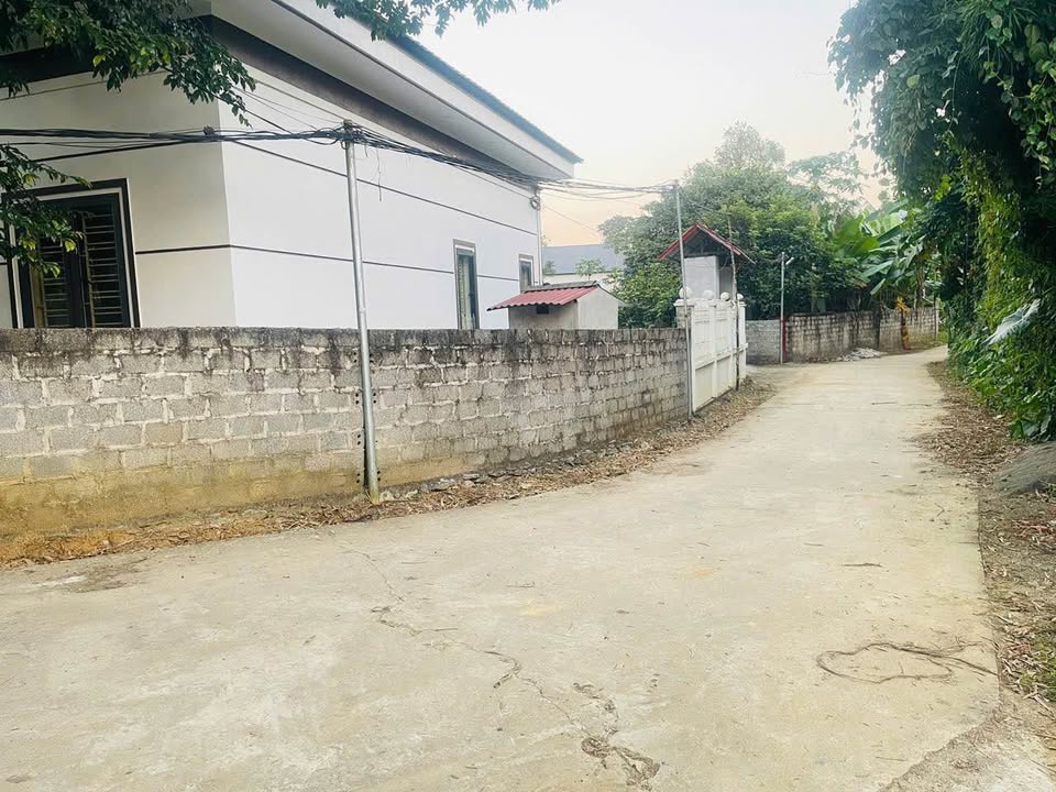 Đất nghỉ dưỡng 1.568m² tại Cư Yên, Lương Sơn chỉ 4 tỷ - Không thể bỏ lỡ!