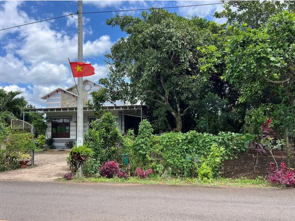 Đất thổ cư Ấp 9 Xuân Tây 230m² giá 1 tỷ - Vừa ở vừa kinh doanh ngay!