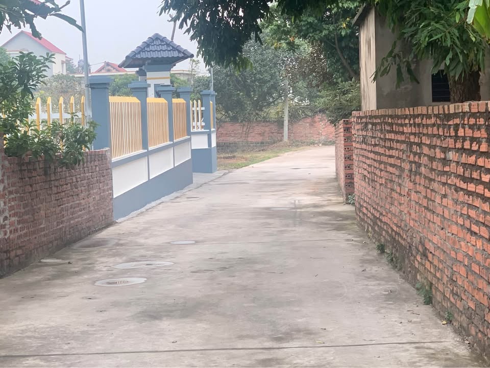 Đất nền Chi Lăng Bình Dương 166.7m² giá 590 triệu - Đầu tư sinh lời ngay!