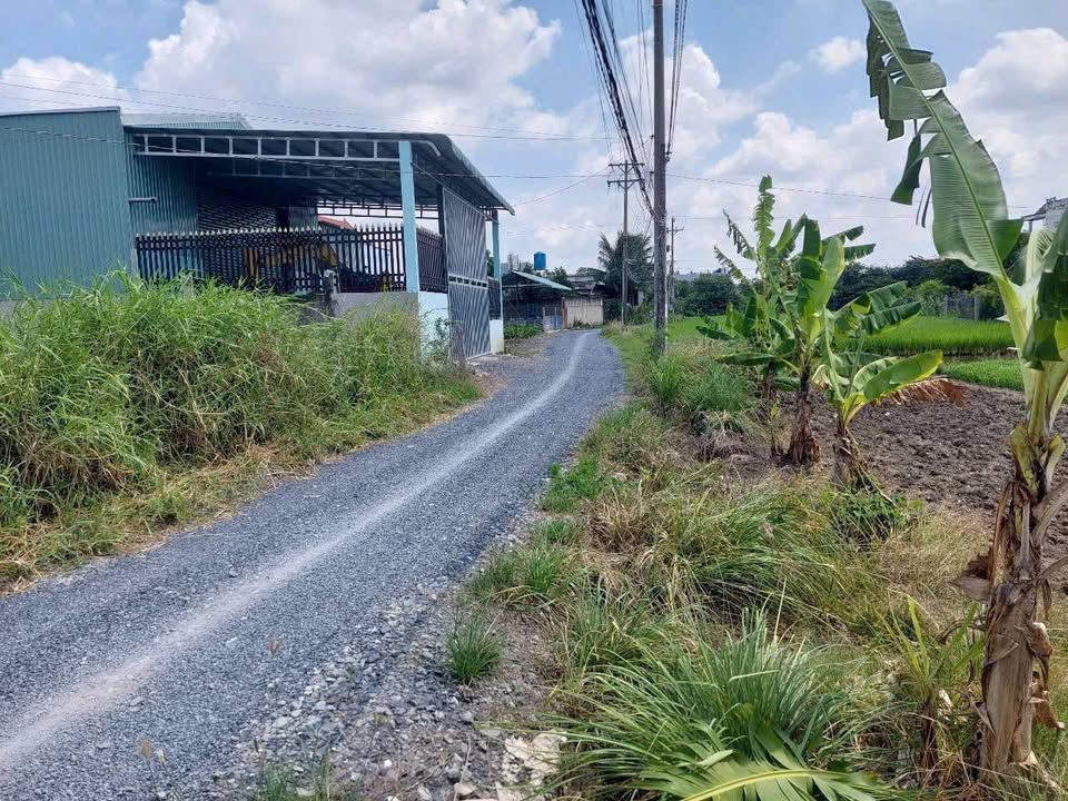 Đất nền Cần Đước Long An 100m² giá 1.5 tỷ - Đường ô tô thông, xây cất ngay!