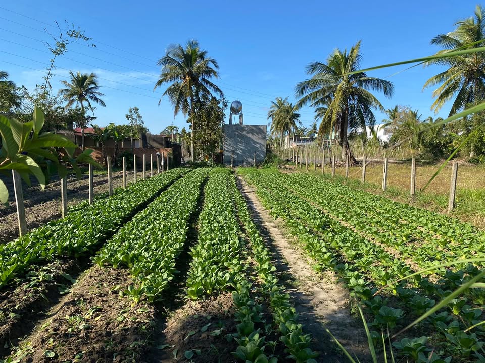 Lô đất đẹp Phường An Phú, Thị xã An Khê, 300m², giá chỉ 600 triệu - Cơ hội đầu tư tuyệt vời!