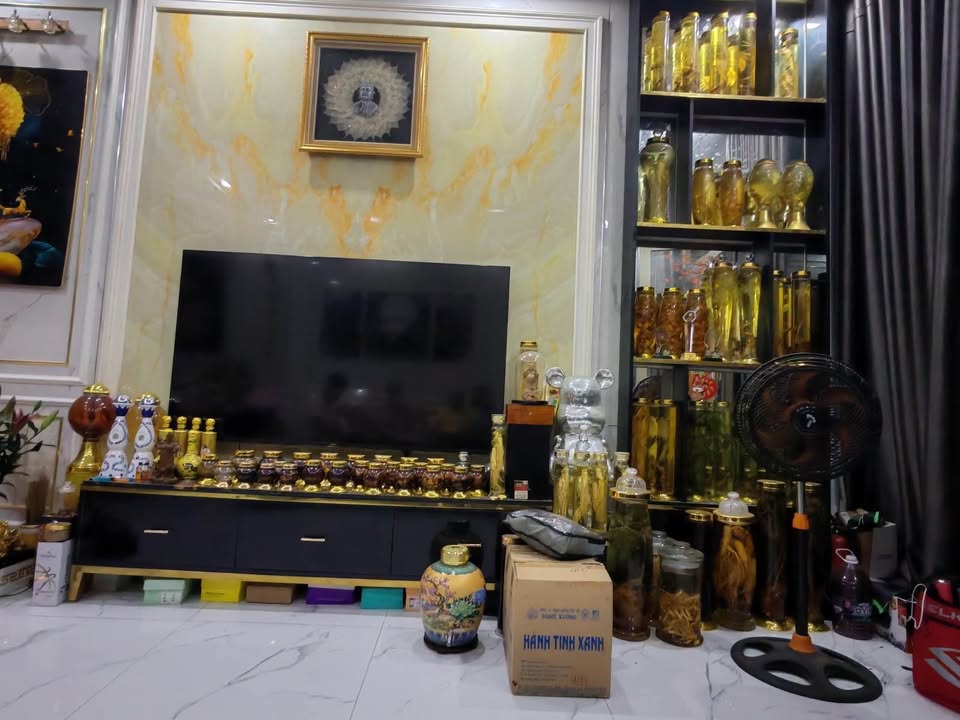 Biệt thự Vân Đồn, Quận Sơn Trà, 166m² giá 22.5 tỷ - Đầu tư sinh lời mạnh mẽ!