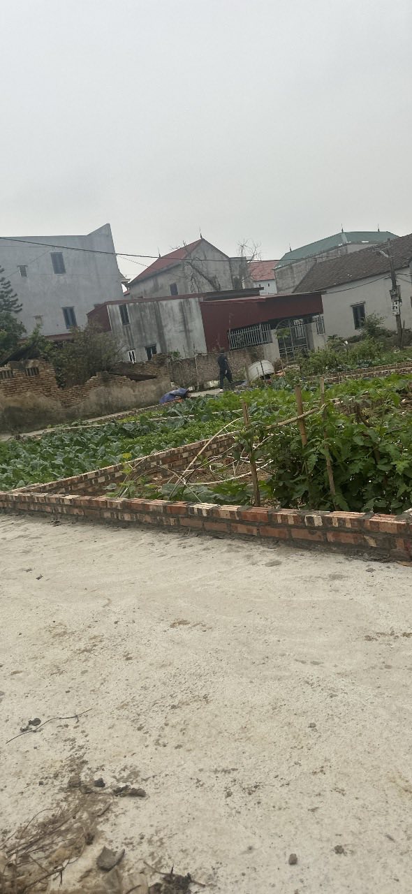 Đất nền xã Đại Đồng Thành, Bắc Ninh 45m² giá chỉ 1.25 tỷ - Cơ hội đầu tư tốt!