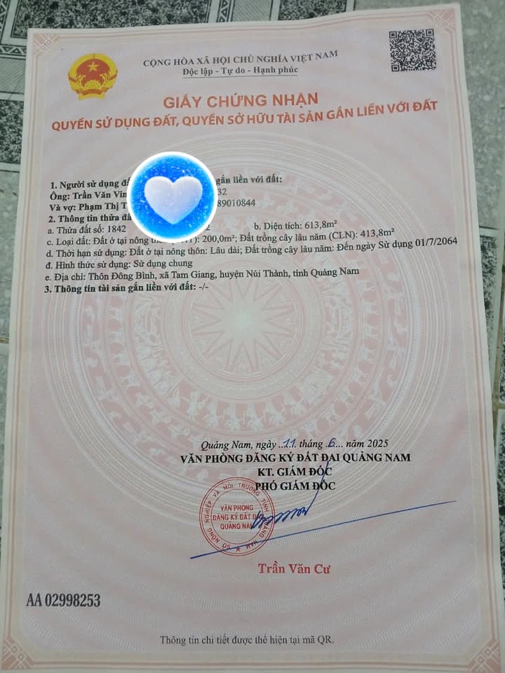 Đất nền xã Tam Giang, huyện Núi Thành 614m² giá 1.1 tỷ - Cơ hội đầu tư tuyệt vời!