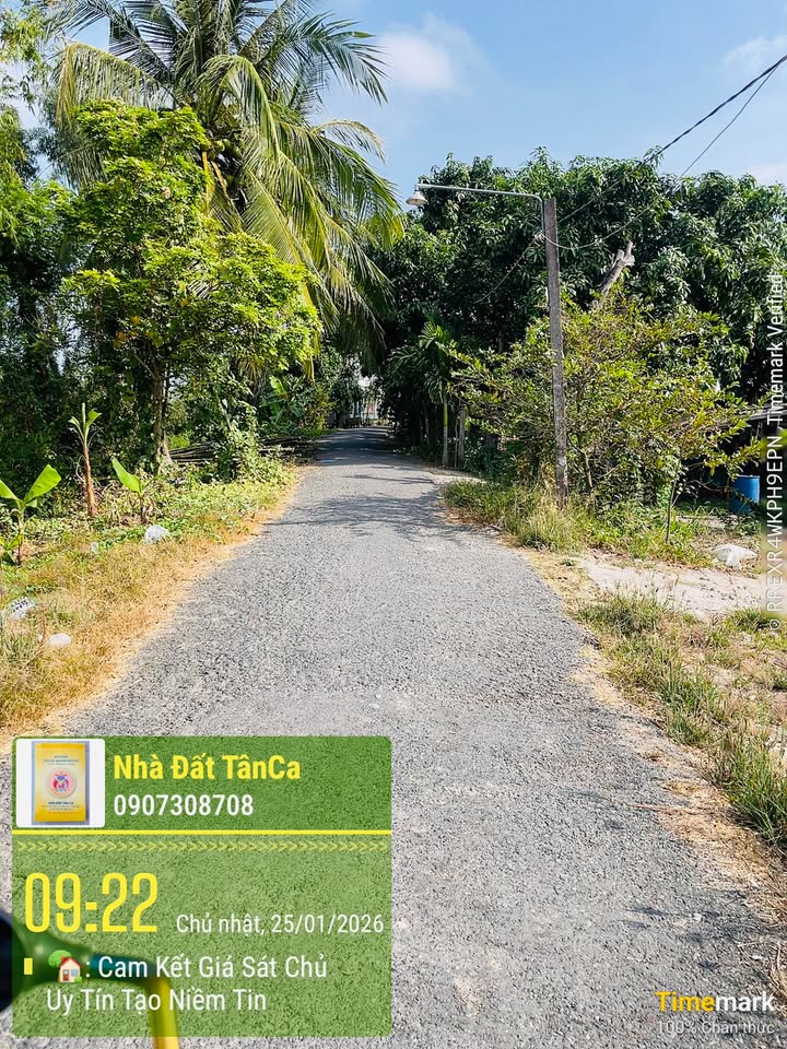 Đất nền mặt tiền nhựa lớn tại Chợ Cái Tre, Đồng Tháp 120m² giá 330 triệu - Cơ hội đầu tư hấp dẫn!