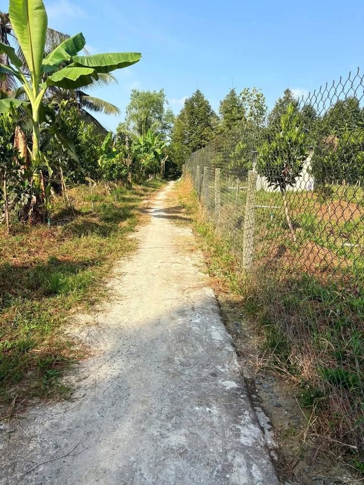 Đất vườn 30.000m² tại Ấp Hoà Phúc, Đồng Tháp giá 1.95 tỷ - Đầu tư sinh lời ngay!