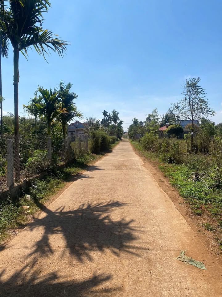 Đất nền Tái Định cư Cuôr Đăng, 125m² giá chỉ từ 5xx triệu - Đầu tư sinh lợi ngay!