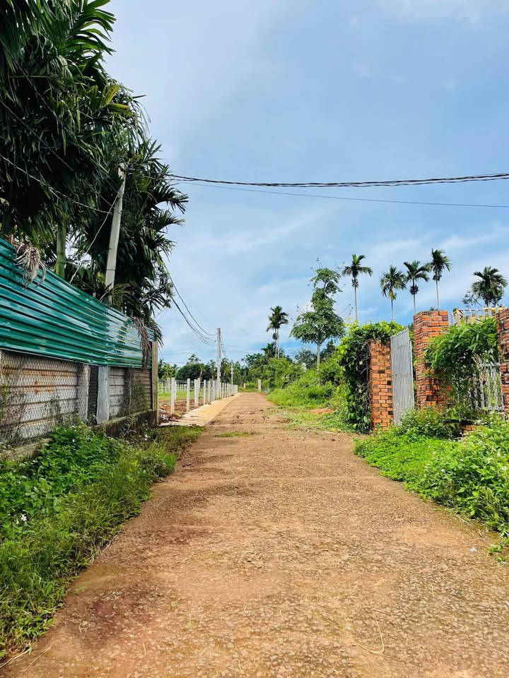 Đất nền Tân Lập, Buôn Ma Thuột 750m² giá 2.68 tỷ - Tiềm năng tăng giá cao!