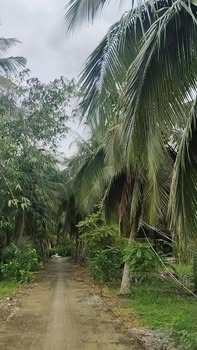 Đất nền chính chủ 195m², xã Song Thuận, giá 380 triệu - Đầu tư sinh lời ngay!