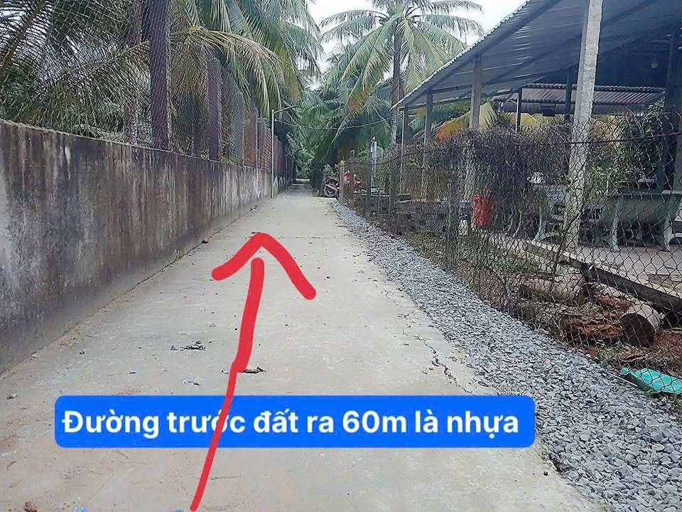 Đất nền Tân Mỹ Chánh 249m² giá chỉ 699 triệu - Cơ hội đầu tư hấp dẫn!