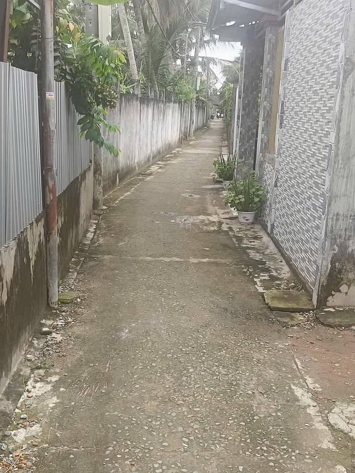 Đất nền Phú Khương Bến Tre 174m² giá 1.5 tỷ - Cơ hội đầu tư hấp dẫn!