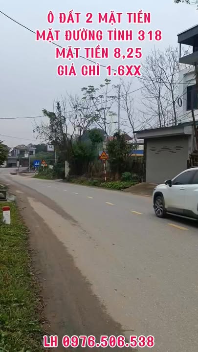 Đất thổ cư 115m² tại Phường Âu Cơ, Thị xã Phú Thọ - Giá chỉ 1.6 tỷ!