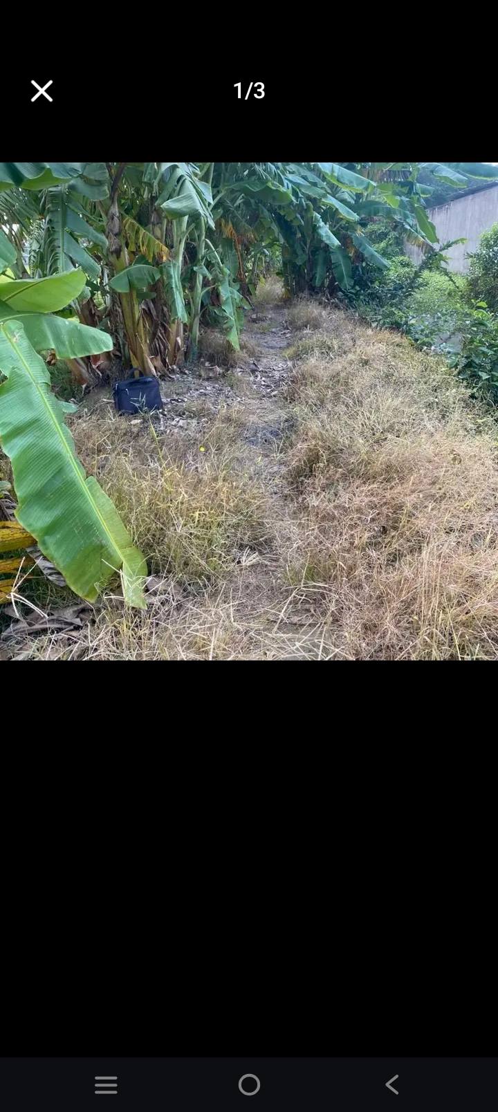 Đất nền 6000m² Khóm 5, Phường 5, Sóc Trăng - Giá chỉ 1.194 tỷ - Đầu tư sinh lời ngay!