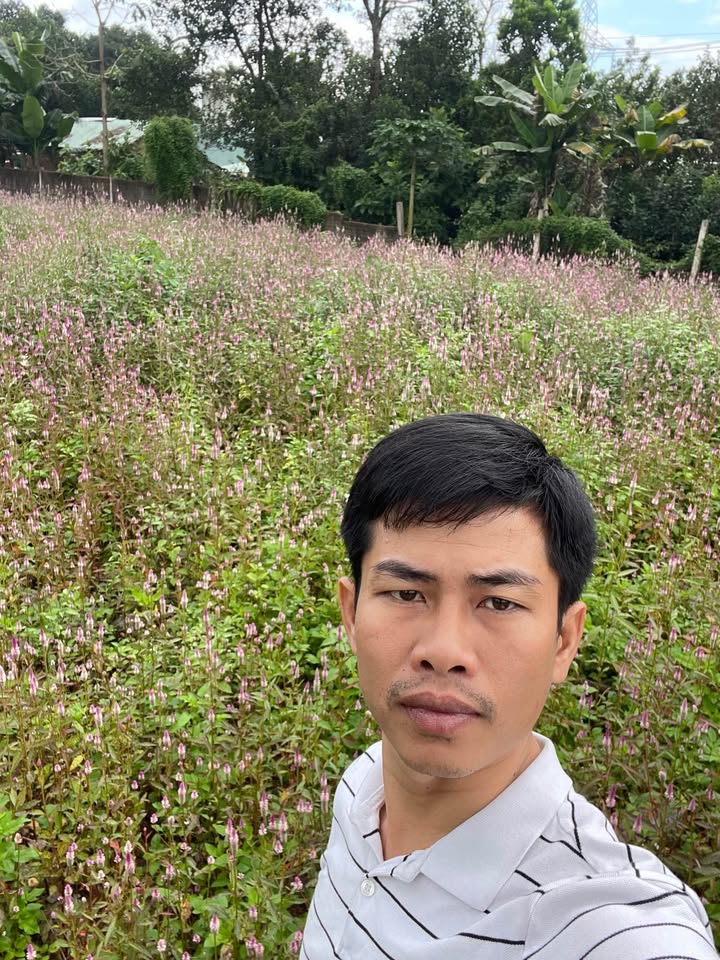 Đất nền xã Hòa Sơn, Đà Nẵng 126m² giá 1.8 tỷ - Đường bê tông 5m, gần trường học