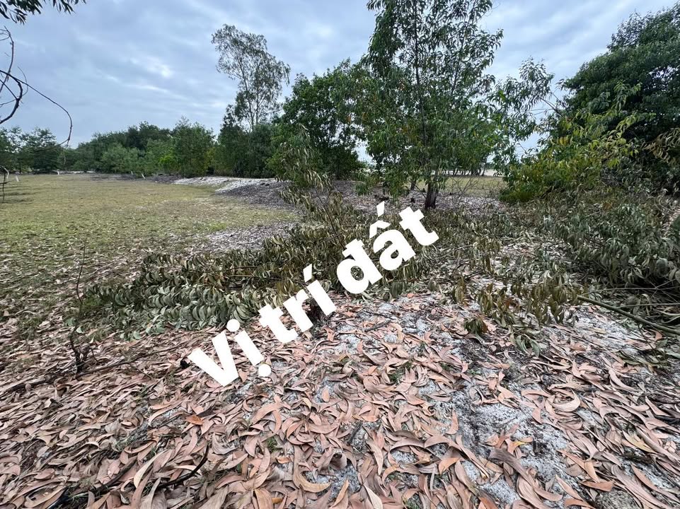 FrontHouse 2 Mặt Tiền Thăng An 150m² giá 1 tỷ - Cơ hội đầu tư tuyệt vời!