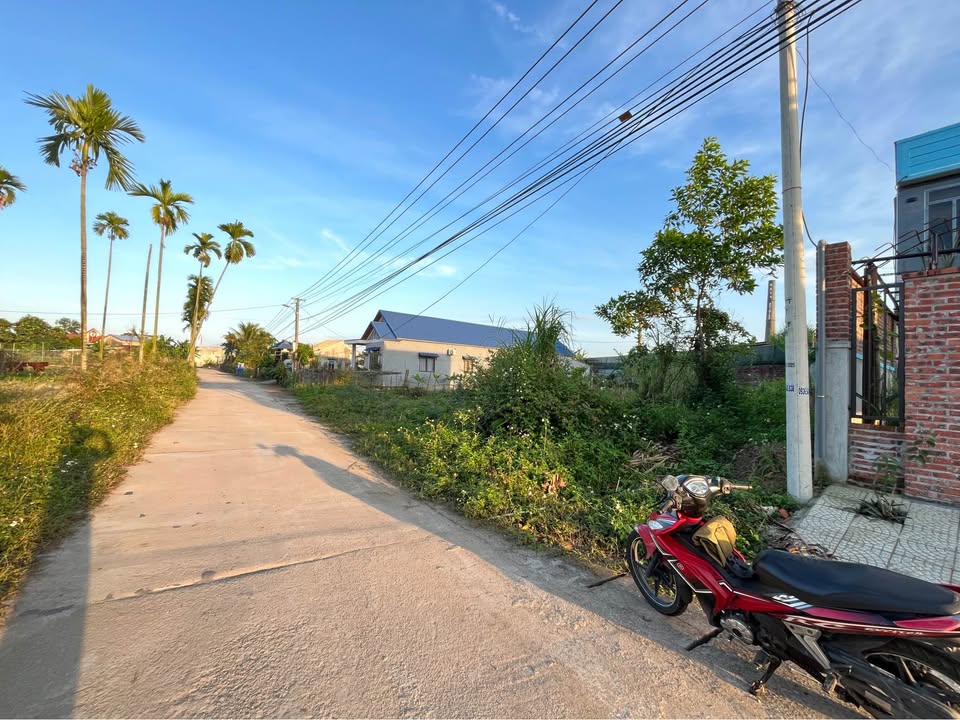 Đất nền Hòa Thọ Tây Đà Nẵng 185m² giá 900 triệu - Cơ hội đầu tư tuyệt vời!