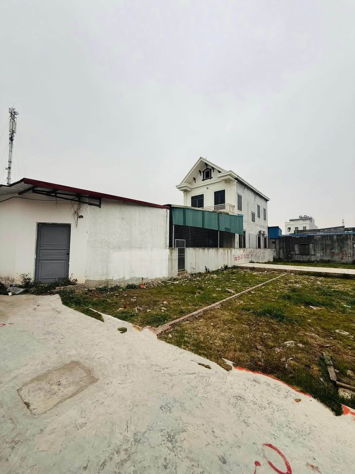 Đất nền Hoàng Lâu, Hồng Phong, An Dương 52m² giá 1.1 tỷ - Cơ hội đầu tư hấp dẫn!